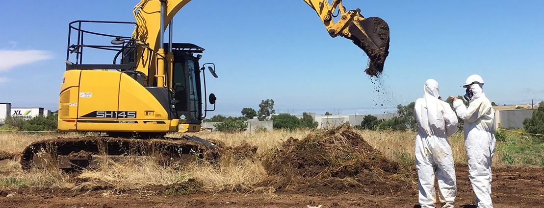 A Consultancy only adds value when it understands a client’s needs